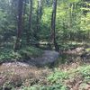 Bild vergr��ern: Die Ach begleitet uns bei unserer Wanderung im lauschigen Knechtental.