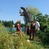 Bild vergr��ern: Hoy4