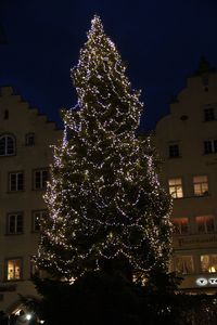 Bild vergr��ern: tannenbaum