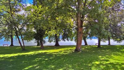 Bild vergr&ouml;&szlig;ern: Ausblick auf den Toskanapark und den Bodensee.
