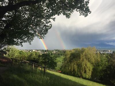 Bild vergr��ern: Auch f�r den Landschaftsfinger am Hoyerberg gibt es viele tolle Ideen.