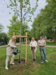 Bild vergr��ern: Dieser Tulpenbaum nahe des Lindauer Europaplatzes ist nur einer von vielen, der Dank der Spende von Susanne Porsche (links) in Lindau gepflanzt werden konnte. Dar�ber freuen sich auch Lindaus Oberb�rgermeisterin Dr. Claudia Alfons und Pius Hummler, Werkleiter der Garten- und Tiefbaubetriebe Lindau.