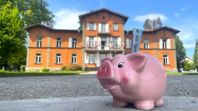 Bild vergr��ern: Sparschwein-Haushalt