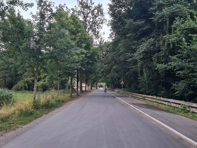 Bild vergr��ern: Seit Mitte April war der betroffene Abschnitt gesperrt, um den L�ckenschluss des Bodenseeradwegs zwischen Eichwaldstra�e und Fraunhoferstra�e herzustellen.