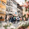 Bild vergr��ern: Die F�hrungen im Rahmen von �Lindau f�r Lindauer� erfreuen sich gro�er Beliebtheit.